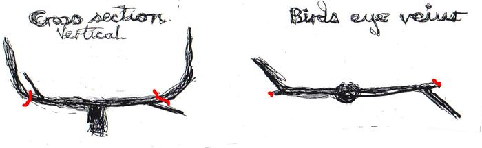 [Thumbnail for drawimg dos.jpg]